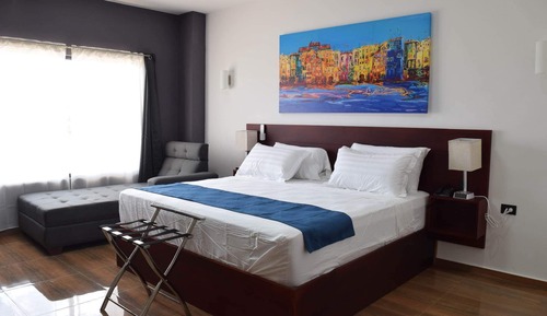 Superior Single Room, 1 King Bed, Mountain View