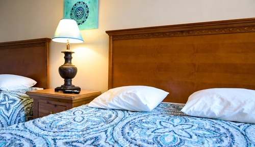 Room, 1 King Bed