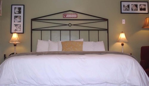 Room, 1 King Bed