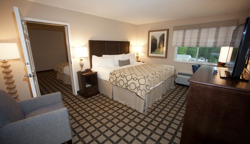 Room, 1 King Bed, Accessible, Non Smoking