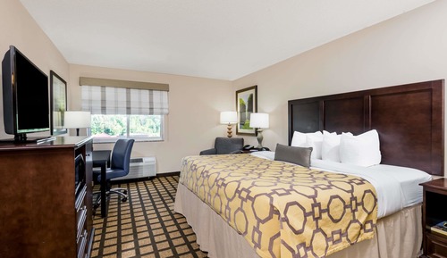 Room, 1 King Bed, Non Smoking