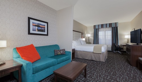 Suite, 1 King Bed with Sofa bed