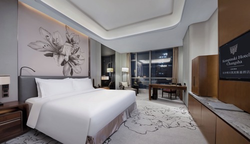 Standard Room, 1 King Bed, City View (Superior King Room)