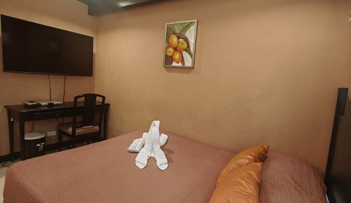 Family Studio, Multiple Beds (Deluxe)