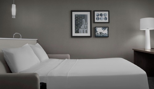 Studio, 1 King Bed with Sofa bed (Mobility Accessible, Roll-In Shower)