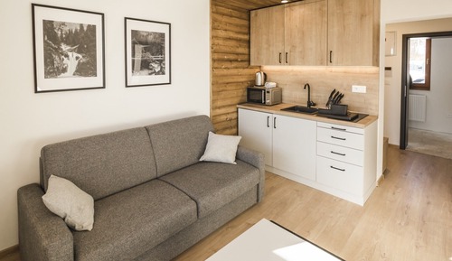 Standard Apartment