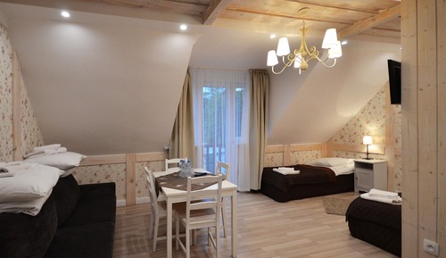 Comfort Shared Dormitory, Multiple Beds