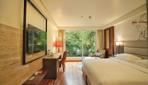 Room, 1 King Bed