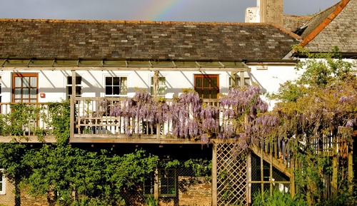 Cottage