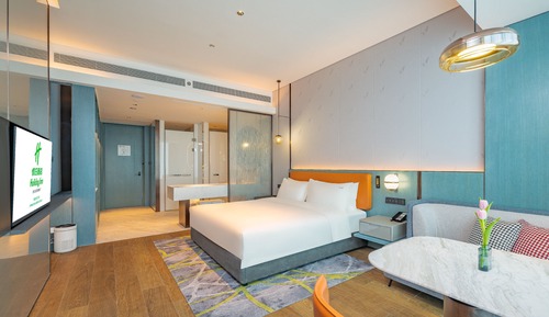 Standard Room, 1 King Bed, City View