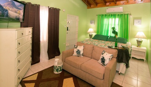 Grand Single Room, 1 King Bed