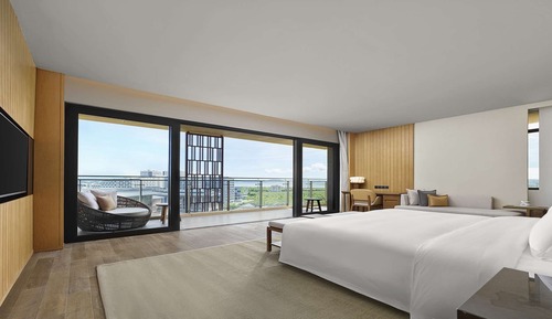 Room, 1 King Bed (Green Aura)