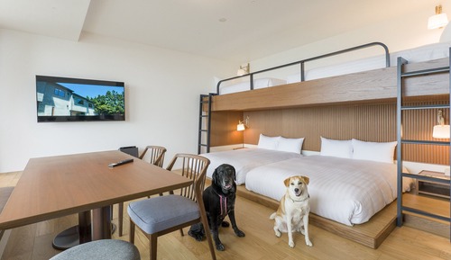 Bunk bed Room Dog friendly/1off-site parking lot