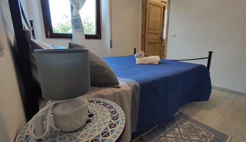 Basic Double or Twin Room