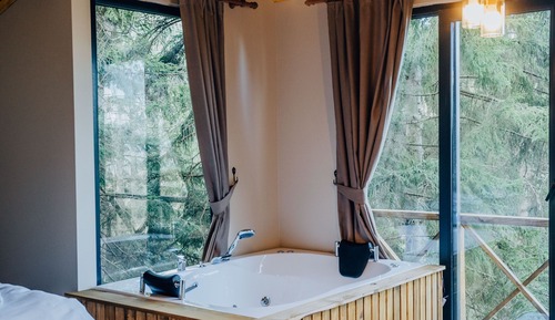 Deluxe Suite, 1 Bedroom, Mountain View