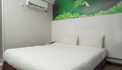 Standard Double Room, 1 King Bed