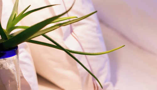 Classic Room, 1 Queen Bed