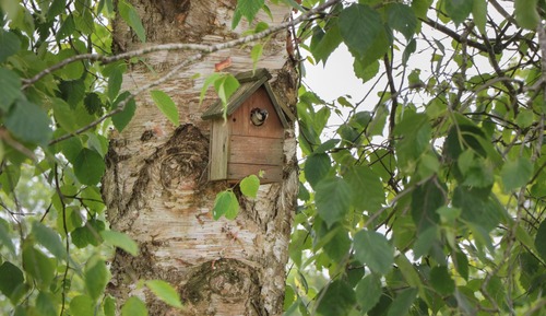 Cottage