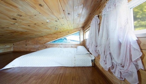 Basic Room, 1 Bedroom (Chocomint ( F1 / 1 Dog Stay Free))