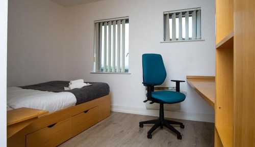 Room (One Room in a 6-Bedroom Apartment, Adults Only)