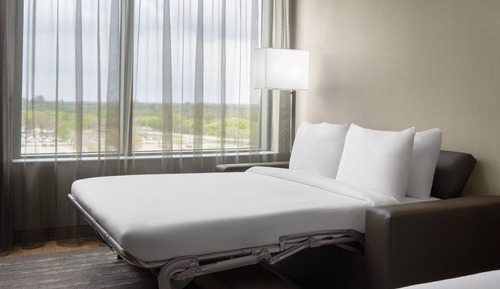 Room, 1 King Bed with Sofa bed