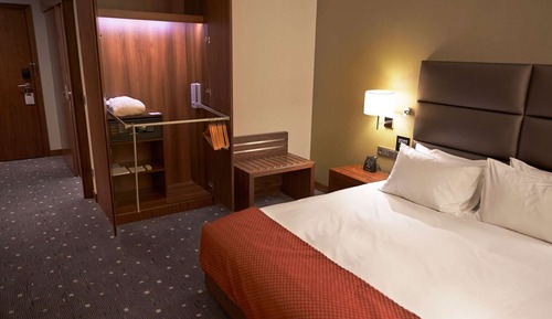 Room, 1 King Bed, Accessible