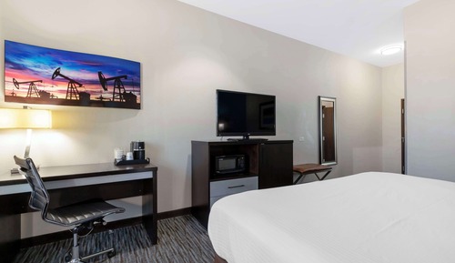 Standard Room, 1 King Bed, Accessible, Non Smoking