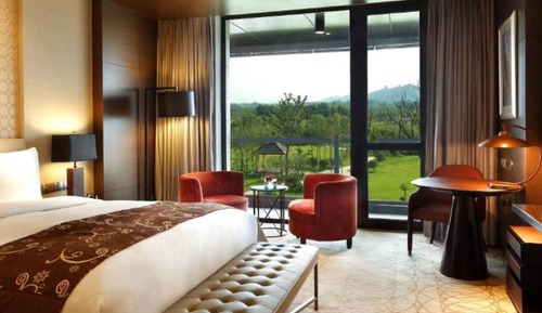 Standard Room, 1 King Bed, Accessible