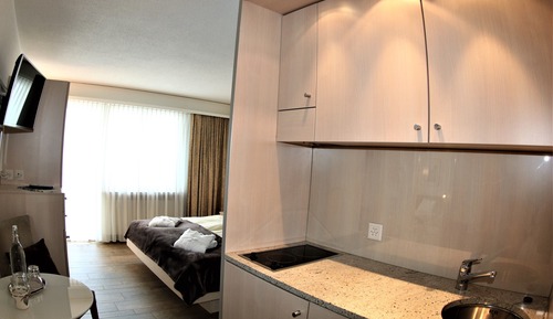 Double Room with Kitchnette, Balcony, Mountain View (max. 2 persons)