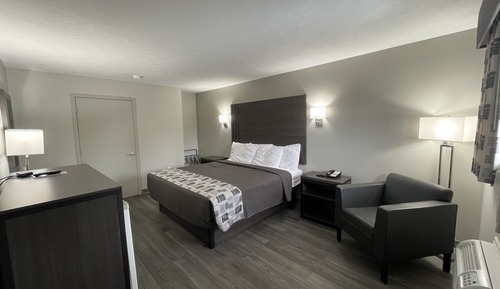 Room, 1 King Bed, Accessible, Non Smoking