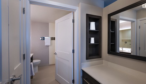 Standard Studio, 1 King Bed with Sofa bed
