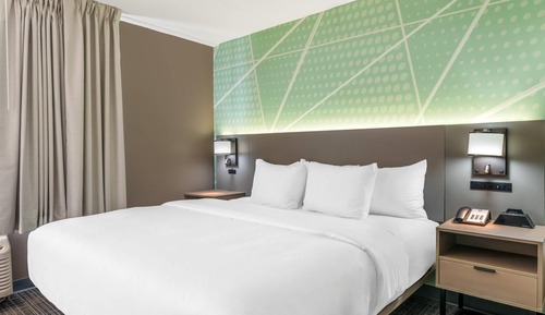 Standard Room, 1 King Bed, Non Smoking