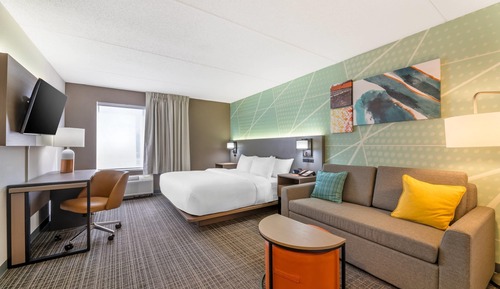 Standard Single Room, 1 King Bed, Accessible, Non Smoking