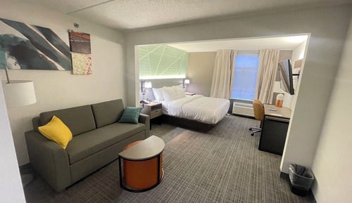 Suite, 1 King Bed, Non Smoking (Efficiency)