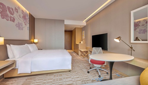Room, 1 King Bed