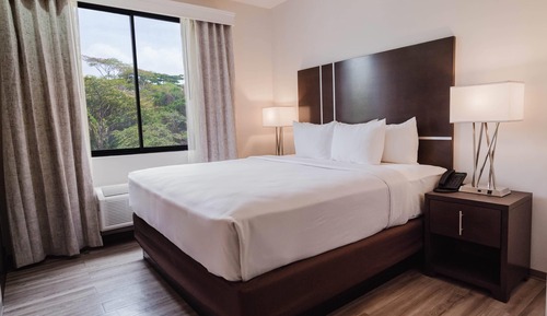 Room, 1 King Bed, Non Smoking