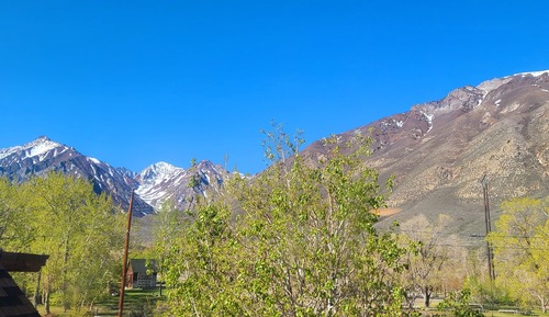 #5 Mt. Morgan