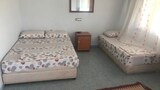 Basic Room, Multiple Beds, City View
