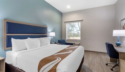 Room, 1 King Bed, Non Smoking