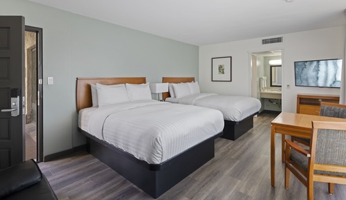 Studio Suite, 2 Queen Beds