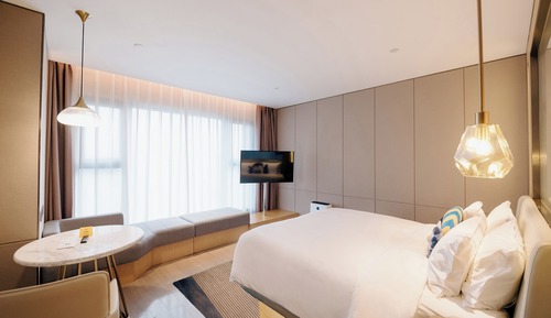 Premium Room, 1 King Bed (Walk-In Shower)