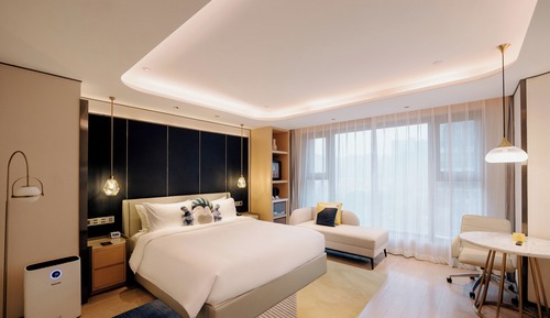 Standard Room, 1 King Bed (High Floor)