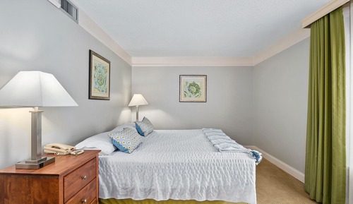 Room, 1 King Bed with Sofa bed (TBMSBV)