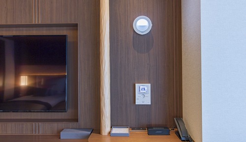 Accessible Room, Non Smoking