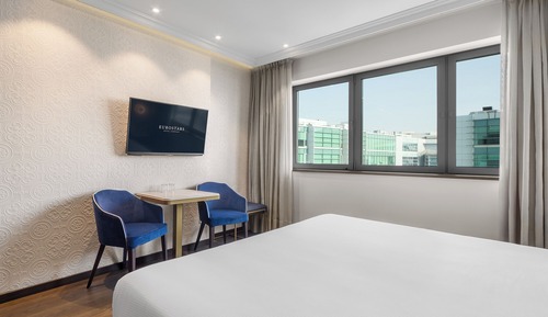 Double Room Single Use