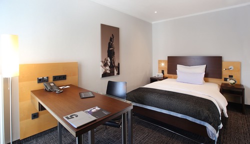 Superior Single Room