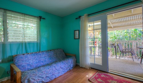 Basic Studio, Non Smoking, Patio (Jungle)