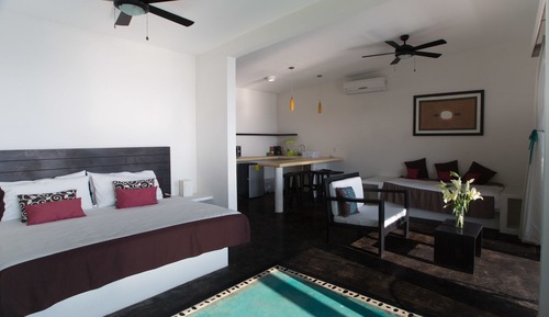 Luxury Suite, Kitchenette