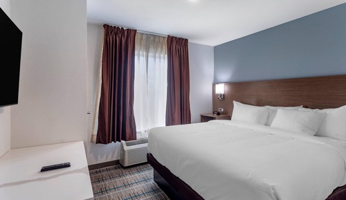 Suite, 1 King Bed (Pet-Friendly)