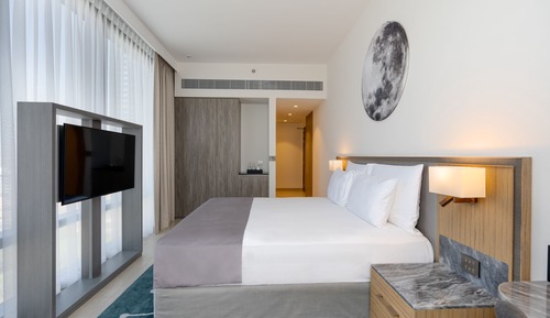 Executive Room, 1 King Bed, Terrace